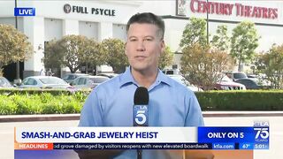 Jewelry store employees repel smash-and-grab attempt