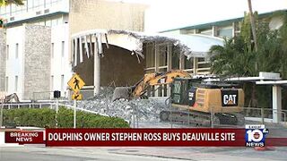 Dolphins owner to acquire Deauville in Miami Beach