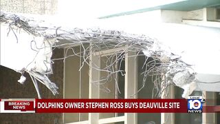 Dolphins owner to acquire Deauville in Miami Beach