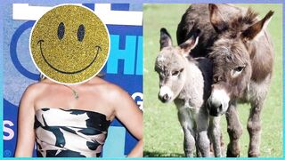 Celebrity Pet Quiz - Guess the Celebrity - Hardest Quiz