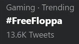 #FreeFloppa