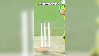 New Cricket tik tok video [2022] ||Cricket Tiktok Video || Ipl Tik Tok video video 2022