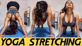 BASIC YOGA STRETCHING FOR BEGINNERS | Yoga Girl | INDIAN YOGA STUDIO