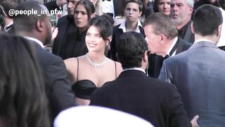 Adriana Lima, Izabel Goulart, Winnie Harlow and more models on the red carpet in Festival de Cannes