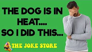 Funny Joke - The Dog Was In Heat So I Did This With Shocking Results