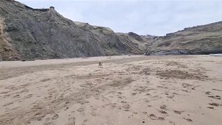 Husky Runs to The Beach Kissing a Lady on the Way!