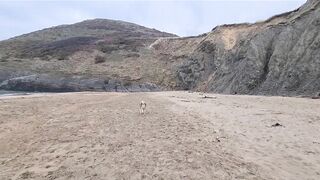 Husky Runs to The Beach Kissing a Lady on the Way!