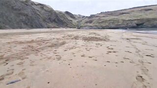 Husky Runs to The Beach Kissing a Lady on the Way!