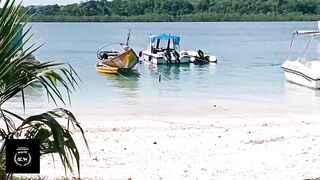 The Most Beautiful Beach|Havlock|Radha nagar beach|The best beach|world's largest beach|Andaman