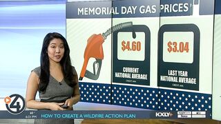 Families travel for the holiday weekend despite record high gas prices