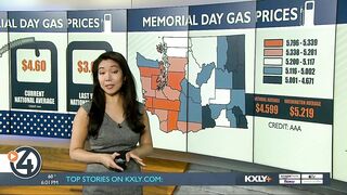 Families travel for the holiday weekend despite record high gas prices