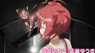 Tokyo Mew Mew New~♡ - Official Trailer 2 | AniTV