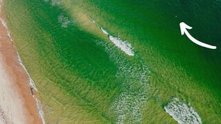 We Put A Drone Up At The Beach And THIS Happened...