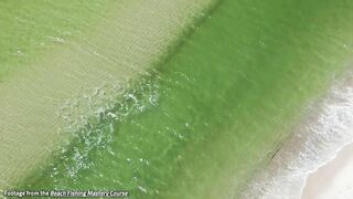 We Put A Drone Up At The Beach And THIS Happened...