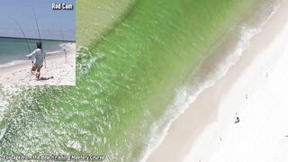 We Put A Drone Up At The Beach And THIS Happened...