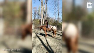 Horse Yoga