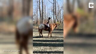 Horse Yoga