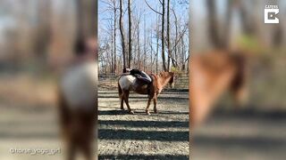 Horse Yoga