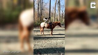 Horse Yoga