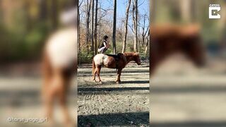 Horse Yoga