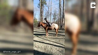 Horse Yoga