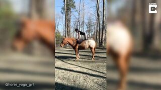 Horse Yoga