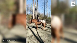 Horse Yoga