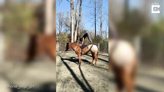 Horse Yoga