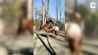 Horse Yoga