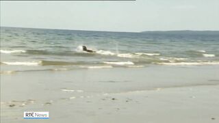 Summer beach ban for dogs and horses in some counties