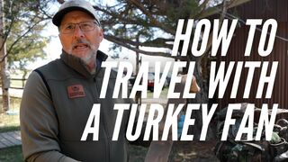 How To Travel With A Turkey Fan