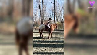 Esta mujer practica yoga encima de su caballo