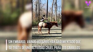 Esta mujer practica yoga encima de su caballo