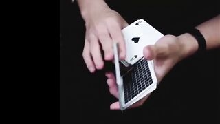 Best Cardistry Compilation Of May week (3 & 4) 2022 [epic cardistry compilation]