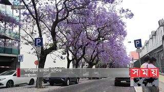 পর্তুগালে এখনো রঙ ছড়াচ্ছে বসন্ত | Travel Portugal | Lisbon portugal | Portugal News | Somoy TV