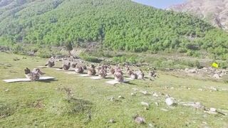 ITBP personnel practicing Yoga ahead of 8th International Day of Yoga in Himachal Pradesh.