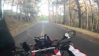 2016 Honda Africa Twin 1000 - Stretching her legs