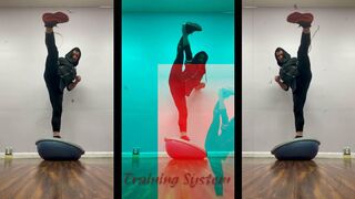 Alex Lee Kicks & Stretching Training System 2022