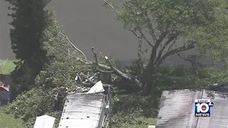 Tree snaps and falls on Pompano Beach mobile home during storm