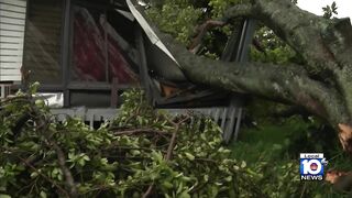 Tree snaps and falls on Pompano Beach mobile home during storm