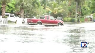 Tree snaps and falls on Pompano Beach mobile home during storm