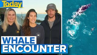 Swimmers stunned by close humpback whale encounter at Sydney beach | Today Show Australia