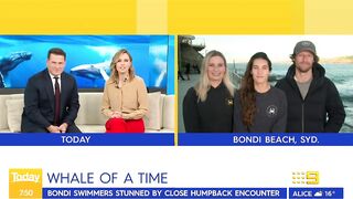 Swimmers stunned by close humpback whale encounter at Sydney beach | Today Show Australia