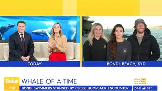 Swimmers stunned by close humpback whale encounter at Sydney beach | Today Show Australia