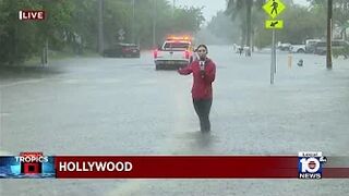 Hollywood Beach rescue vehicles help cars stuck in flooding