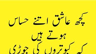 Urdu funny joke || mazaydar joke || mix joke || Hira voice