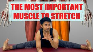 Why Hamstring Is the Most Important Muscle To Stretch (& 3 Easy Hamstring Stretches)