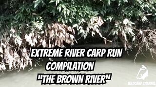 EXTREME River Carp Run COMPILATION 2022! The Brown River (Nash / Fox / Delkim)