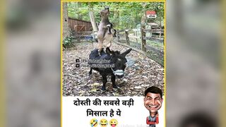 ???????? Funny memes || Trending memes ||???????? Funny video ???????? || Gyan wali meme || Memes || Jokes ||???? part 69