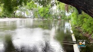 Heavy rain soaks Miami Beach